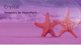  Presentation with nature purple - Presentation design featuring composition-of-two-starfish background and a light blue colored foreground