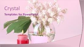  Presentation with flowers vase - Amazing slides having composition-of-vase-of-chestnuts backdrop and a pink colored foreground