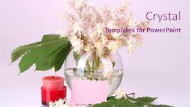  Presentation with flowers vase - Audience pleasing presentation consisting of composition-of-vase-of-chestnuts backdrop and a pink colored foreground