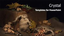  Presentation with hazelnuts - Presentation theme consisting of composition-of-walnuts-hazelnuts-bunches background and a  colored foreground