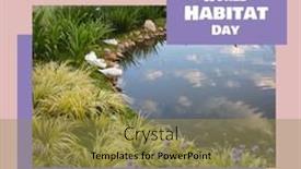 Presentation with world - Theme with composition-of-world-habitat-day background and a gold colored foreground
