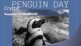  Presentation with wildlife - Presentation featuring composition-of-world-penguin-day background and a ocean colored foreground