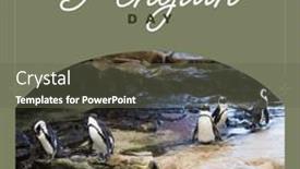  Presentation with wildlife - PPT theme enhanced with composition-of-world-penguin-day background and a gray colored foreground