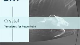  Presentation with turtle - Presentation design enhanced with composition-of-world-turtle-day background and a cool aqua colored foreground