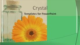  Presentation with white flower frame - Colorful PPT theme enhanced with composition-of-yellow-flower backdrop and a soft green colored foreground