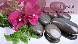  Presentation with water color - PPT theme consisting of elegant blossom - composition with beautiful blooming orchid background and a violet colored foreground