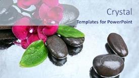  Presentation with water color - Amazing slide set having composition with beautiful blooming orchid with water drops and spa stones on light color background backdrop and a sky blue colored foreground