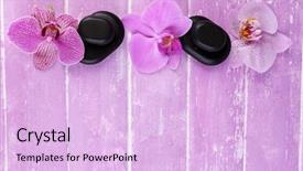  Presentation with orchids - Audience pleasing PPT theme consisting of composition with beautiful blooming orchids backdrop and a lavender colored foreground