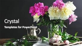  Presentation with peony - Colorful PPT theme enhanced with composition with beautiful peony flowers on dark background backdrop and a dark gray colored foreground