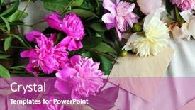  Presentation with peony - Amazing slides having composition with beautiful peony flowers and envelopes on white fabric top view backdrop and a purple colored foreground