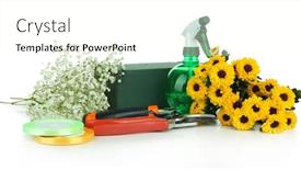  Presentation with tools - Presentation theme featuring composition-with-florist-tools-isolated background and a  colored foreground