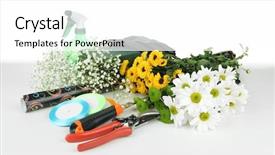  Presentation with tools - Theme featuring composition-with-florist-tools-isolated background and a  colored foreground