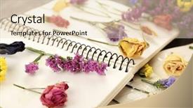  Presentation with plants - Cool new slide deck with war text word crossword alphabet letter blocks game texture background texture backdrop and a light gray colored foreground.