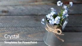  Presentation with forget - Amazing presentation design having composition with forget-me-nots backdrop and a gray colored foreground