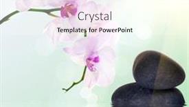  Presentation with orchids - Beautiful PPT layouts featuring composition with pink orchids and black stones on light background backdrop and a cream colored foreground
