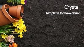  Presentation with plants - Colorful slide set enhanced with plants and pots on soil backdrop and a dark gray colored foreground