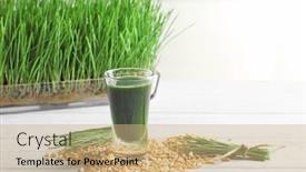  Presentation with healthy juice - PPT layouts featuring composition with shot of healthy wheat grass juice on white wooden table background and a coral colored foreground