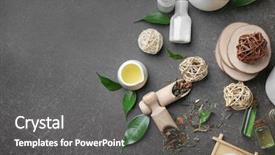  Presentation with palm oil seeds of tree - Audience pleasing PPT layouts consisting of composition with tea tree oil backdrop and a gray colored foreground