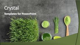  Presentation with lime - PPT layouts having composition with wheat grass products background and a gray colored foreground