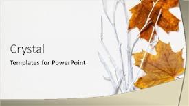  Presentation with autumn leaves - Slide deck with composition-with-yellow-autumn-leaves background and a  colored foreground