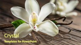  Presentation with vanilla - Colorful PPT theme enhanced with compound - dried vanilla sticks and vanilla backdrop and a tawny brown colored foreground