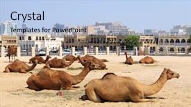  Presentation with qatar - Presentation theme with compound in central doha qatar background and a light blue colored foreground