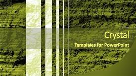  Presentation with tree root - Audience pleasing presentation design consisting of computer designed grunge background - tree backdrop and a  colored foreground