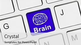  Presentation with brain computer - Colorful slide set enhanced with computer keyboard with brain key backdrop and a white colored foreground
