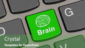  Presentation with brain computer - Amazing presentation theme having computer-keyboard-with-brain-key backdrop and a shamrock green colored foreground