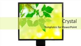  Presentation with isolated paw prints over white - Presentation theme having computer monitor isolated over white background and a yellow colored foreground