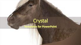  Presentation with white horse - Amazing slides having brazilian soccer player celebrating the championship with a trophy in his hand on a white background backdrop and a soft green colored foreground