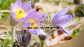  Presentation with czech republic - Slide deck enhanced with concave-in-np-podyji-czech background and a coral colored foreground