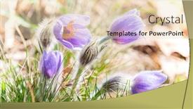  Presentation with czech republic - Colorful presentation theme enhanced with concave-in-np-podyji-czech backdrop and a lemonade colored foreground