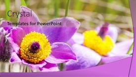  Presentation with czech republic - Cool new theme with concave-in-np-podyji-czech backdrop and a gold colored foreground