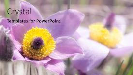  Presentation with czech republic - Amazing presentation design having concave-in-np-podyji-czech backdrop and a lemonade colored foreground