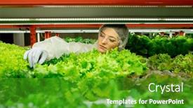  Presentation with latex gloves - Cool new slide deck with concentrated-young-female-planthouse-worker backdrop and a shamrock green colored foreground