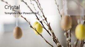  Presentation with holidays - PPT layouts enhanced with concept - close up of pussy background and a sky blue colored foreground