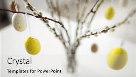  Presentation with modern medicine cardiology concept mixed - Slide set featuring concept - close up of pussy background and a light gray colored foreground