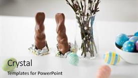  Presentation with holidays - Cool new slide deck with concept - close up of pussy backdrop and a light gray colored foreground