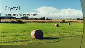  Presentation with hay field - Audience pleasing presentation theme consisting of concept - haystacks or hay roll backdrop and a  colored foreground