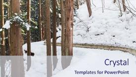  Presentation with nature japan - PPT theme enhanced with concept - snow path winter forest background and a  colored foreground