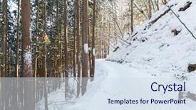  Presentation with nature japan - Audience pleasing PPT theme consisting of concept - snow path winter forest backdrop and a  colored foreground