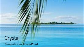  Presentation with heaven - Presentation theme enhanced with concept heaven palm background and a light blue colored foreground