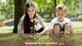  Presentation with tree planting - Presentation theme with concept new life environmental conservation background and a tawny brown colored foreground