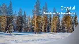  Presentation with forest fairy - Cool new PPT theme with concept of active and extreme tourism coniferous forest in lapland winter fairy tale in a sunny frosty day backdrop and a teal colored foreground