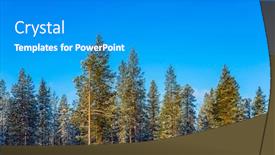  Presentation with forest morning - Colorful PPT theme enhanced with concept of active and extreme travel snowy morning in the arctic circle forest on the shore of a frozen river backdrop and a gray colored foreground