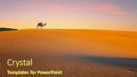  Presentation with camel - Presentation design featuring concept-of-active-ecological background and a tawny brown colored foreground
