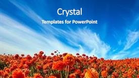  Presentation with tourism business - Theme enhanced with concept of agro-tourism picturesque background and a teal colored foreground