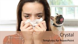  Presentation with therapy dogs - Audience pleasing PPT layouts consisting of woman with tissue and pet backdrop and a coral colored foreground