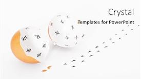  Presentation with counting - Amazing slides having concept-of-an-escaped-young backdrop and a white colored foreground